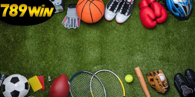 789win thể thao – Kèo cược đa dạng, tỷ lệ siêu hấp dẫn 2 gioi-thieu-ve-789win-the-thao