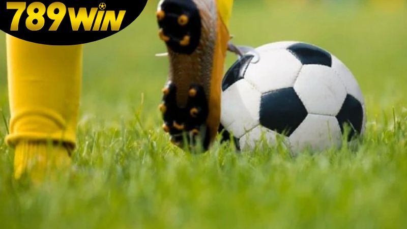 Tỷ lệ kèo 789win – Kèo nhà cái chính xác, cược an toàn 2 cac-loai-keo-pho-bien-tai-789win